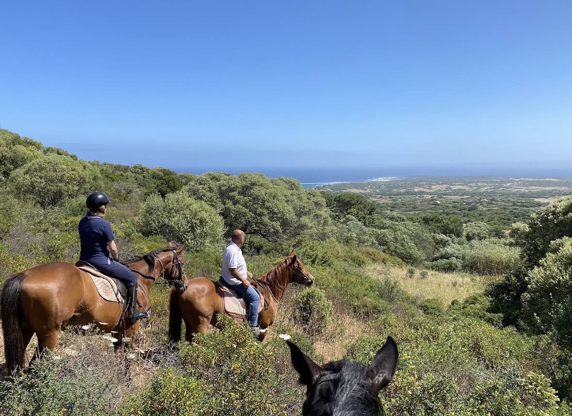 Escursione a cavallo con vista mare