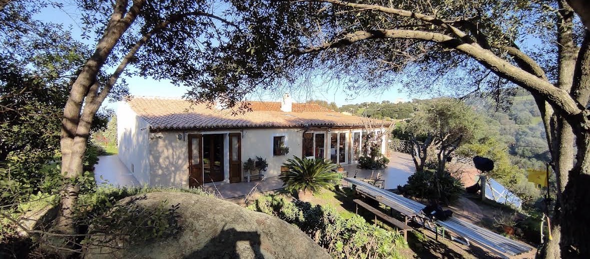 La casa vacanze immersa tra ulivi e granito